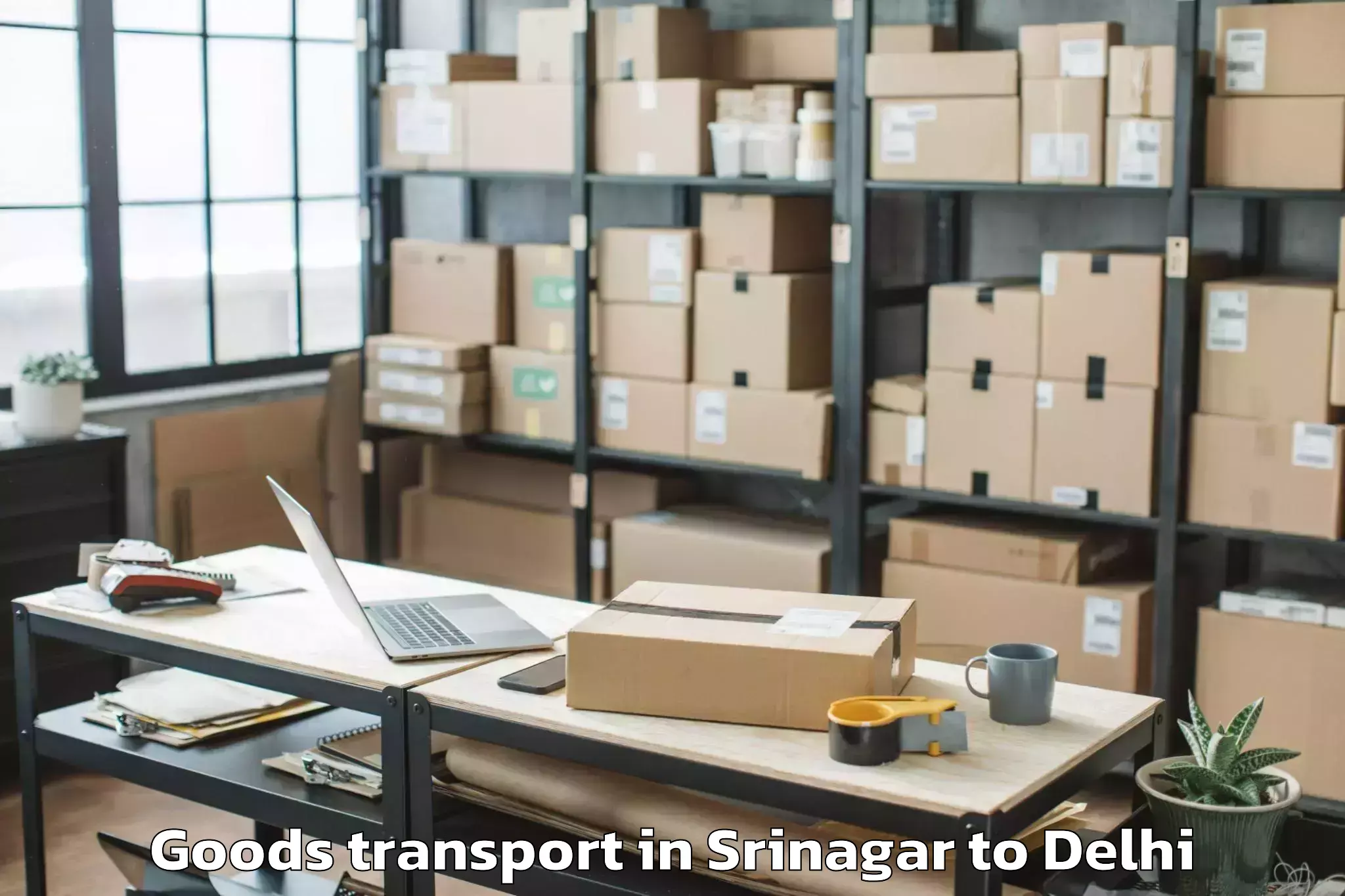 Expert Srinagar to Saraswati Vihar Goods Transport